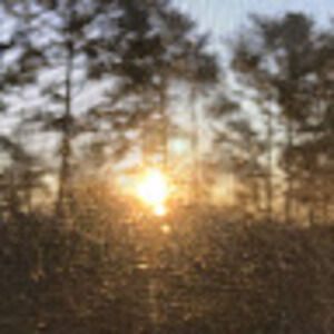 Meet your Posher, Brock